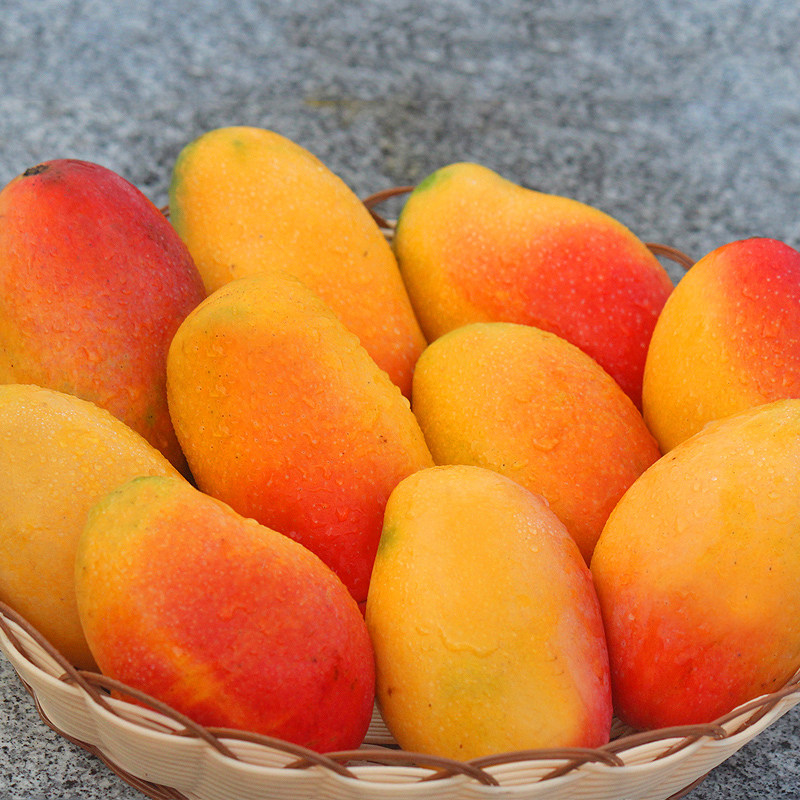 海南贵妃芒树上熟芒果新鲜水果当季特级大果整箱礼盒装顺丰包邮