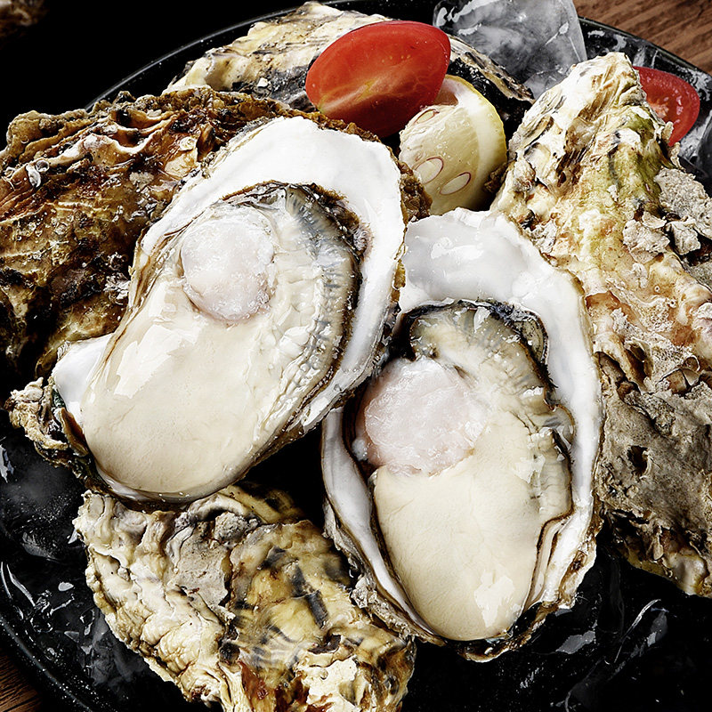 乳山新鲜生蚝鲜活10斤特大5斤牡蛎超级大海生蚝