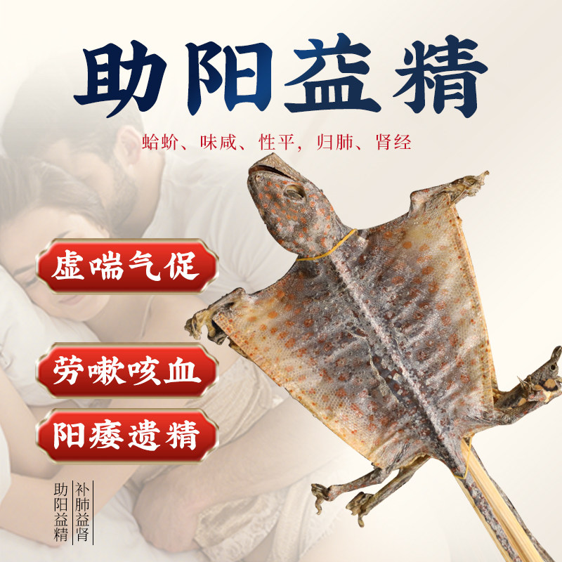 干货中药材补肺益肾定喘泡酒料大全红蛤蚧一对滋补经典方