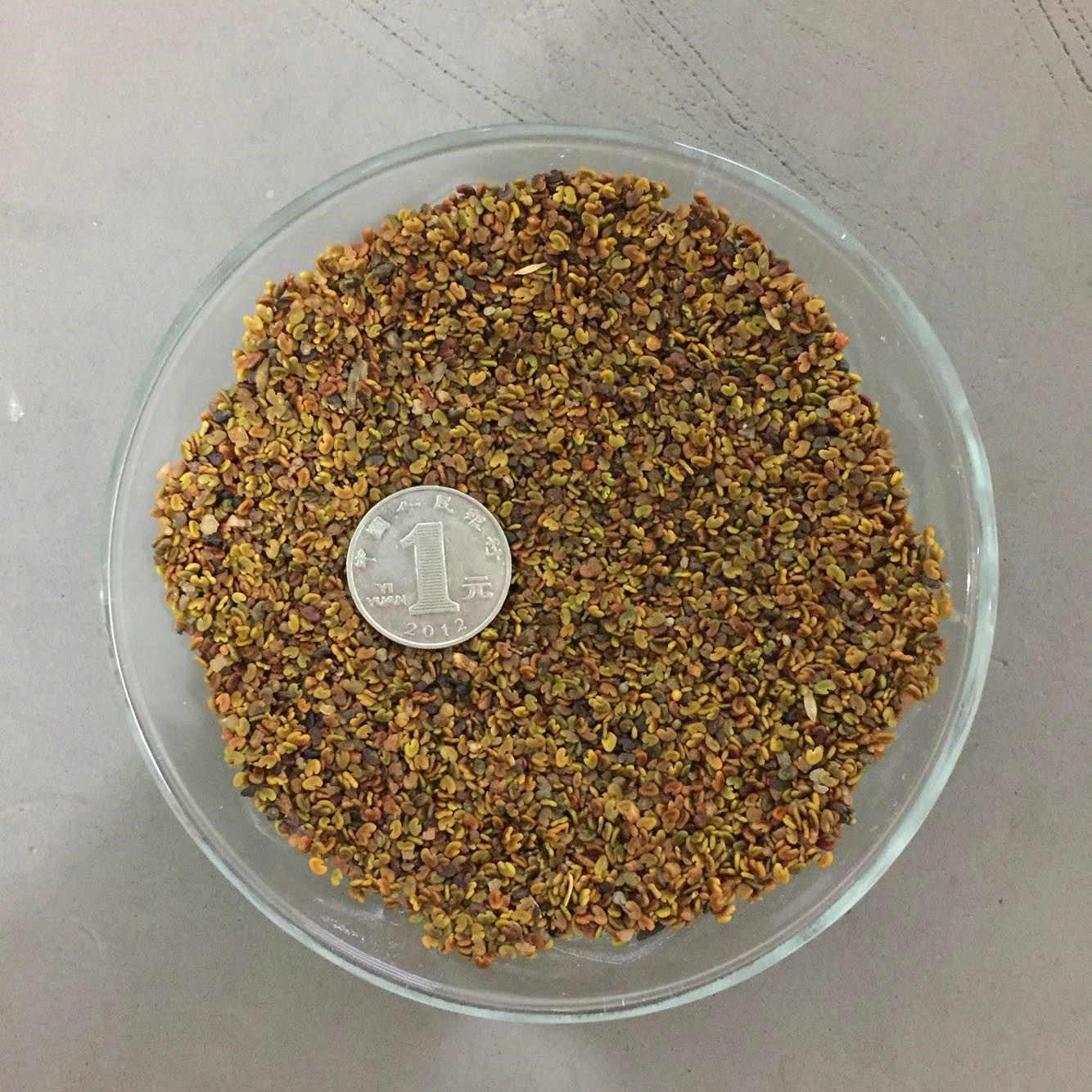 紫云英种子红花花草籽种养蜂蜜源草种果园高产家庭园艺种子