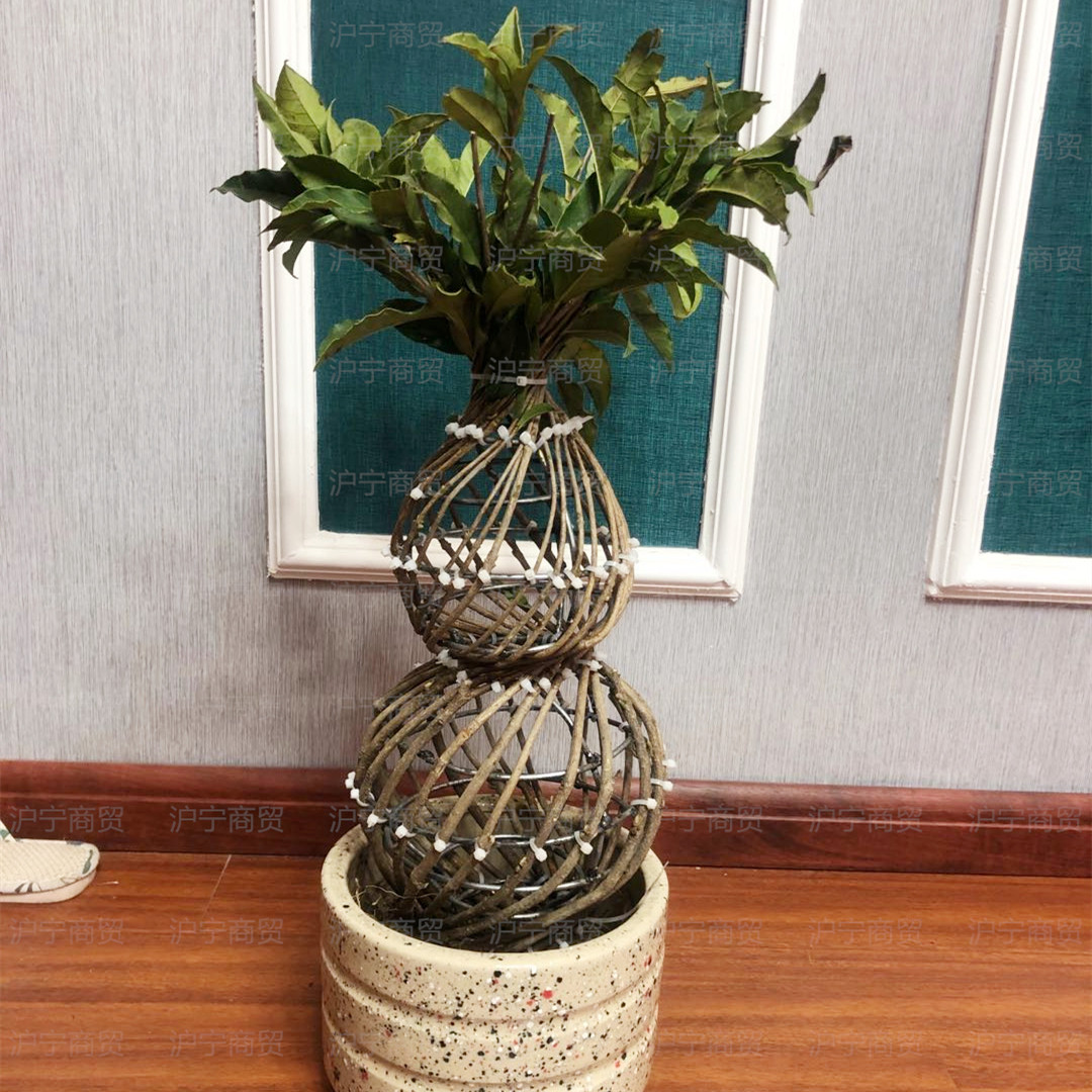 紫薇葫芦花瓶盆景盆栽绿植海棠手工编织园艺观叶