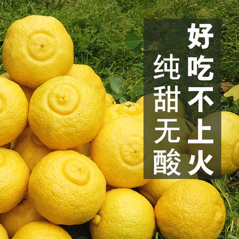 春香金柚新鲜象山青整箱当季黄金贡柚春香柚水果小柚子礼盒甜桔柚