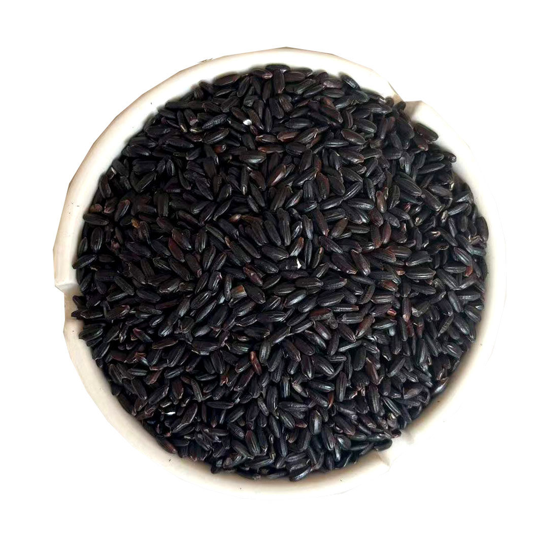 新米东北黑米500g一斤农家自产五谷杂粮黑香米大米熬粥散装食用