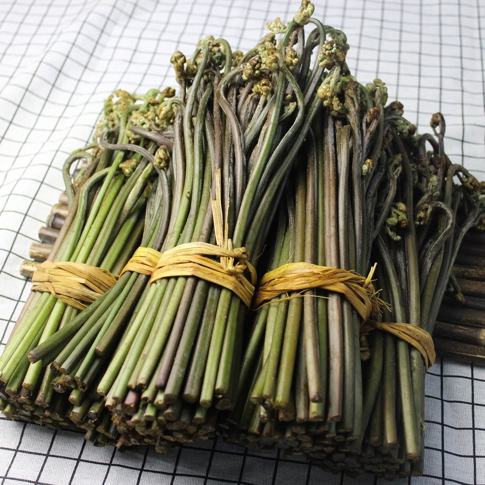 贵州甜蕨菜新鲜野生龙爪菜现采野菜应季新鲜蔬菜山厥菜青厥苔撅阙