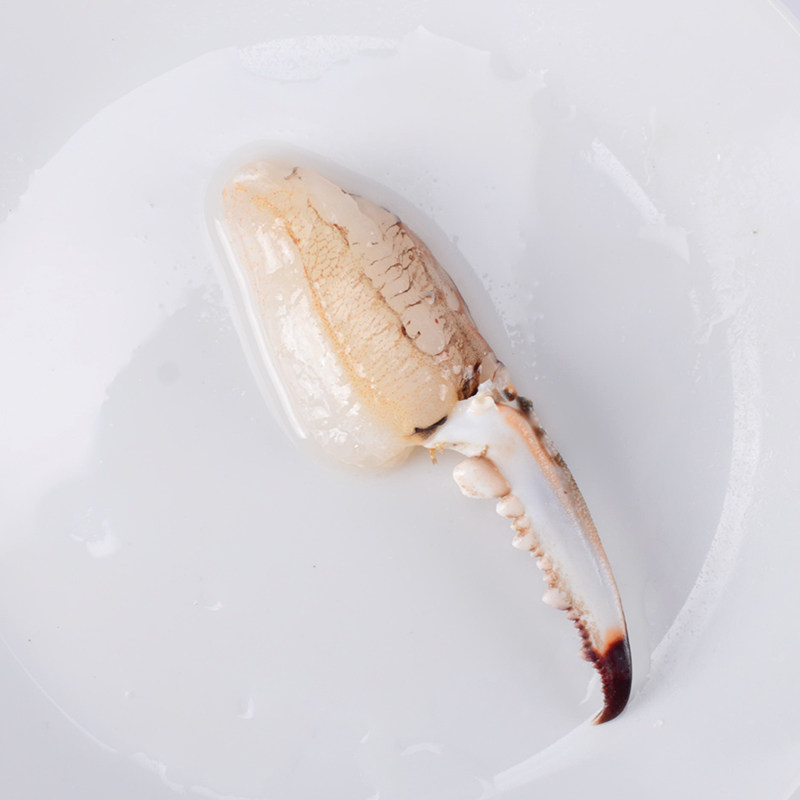 舟山新鲜梭子蟹蟹脚超大冰冻鲜活蟹钳生鲜大脚梭子蟹