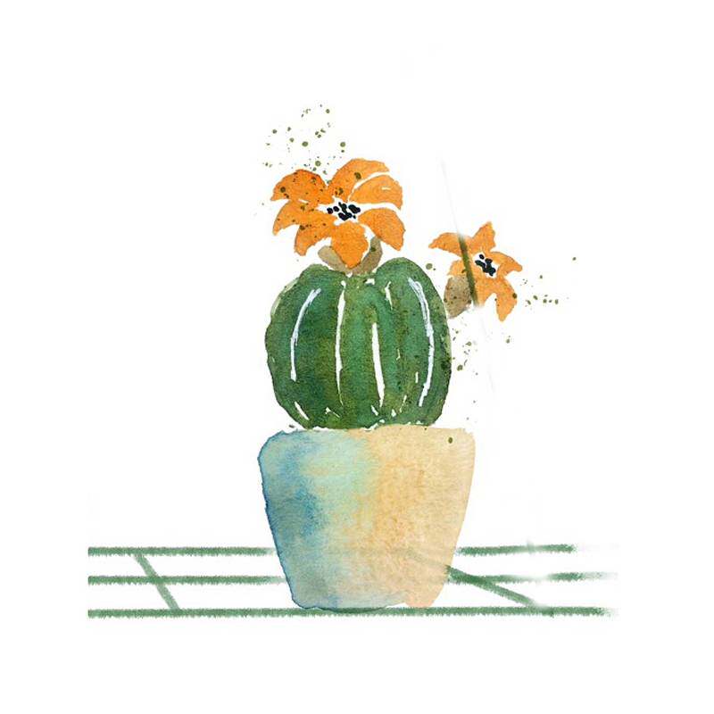 水彩手绘小清新花卉植物电子盆栽多肉绘画日系设计素材