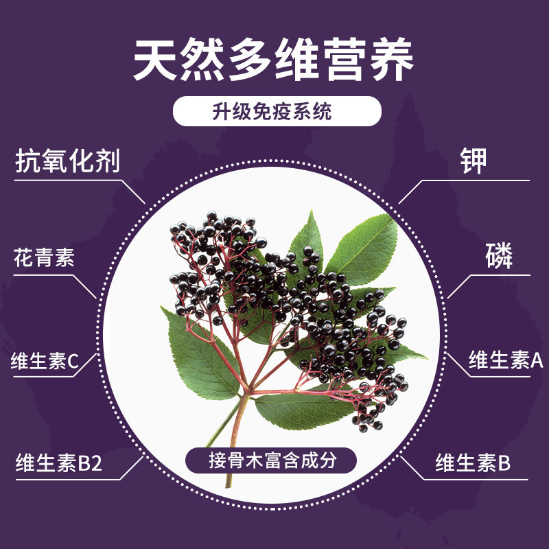 澳洲进口sambucol小黑黑果接骨木莓家庭保健流感感冒维生素