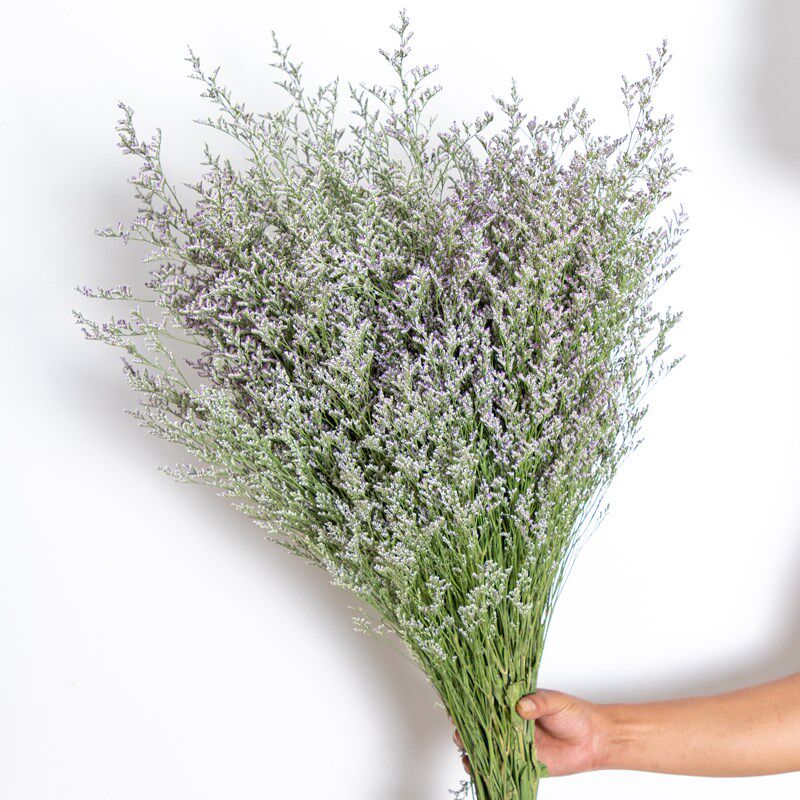 云南风干水晶情人草干花花束摆件礼物真花送人干花