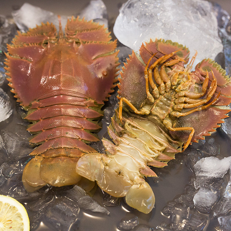 舟山琵琶虾皮皮皮虾鲜活特大九齿扇虾姑虾爬新鲜冻虾