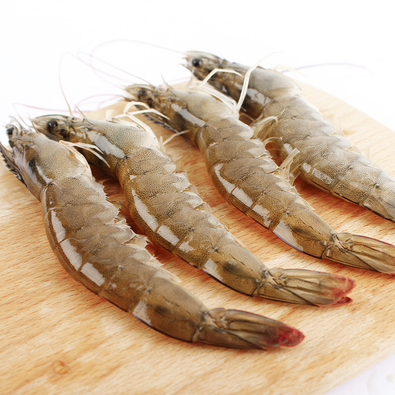 500g北京闪送海白虾鲜活海鲜明虾白大对虾堪比基围虾青岛超大青虾
