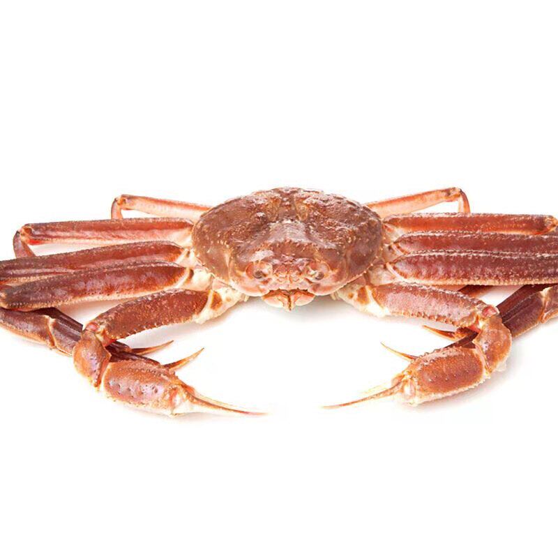 鲜活1只约2斤俄罗斯野生板蟹雪蟹松叶长脚蟹籽帝王蟹