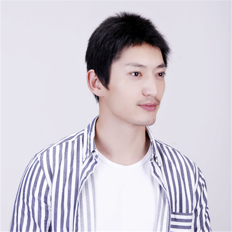 假发薇媛中老年男士短直发寸头整顶发套发丝白发日常整顶假发