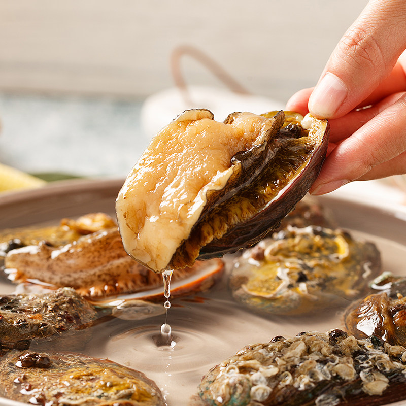 鲍鱼东山岛海鲜水产鲜活68头福建超大新鲜活体鲍鱼