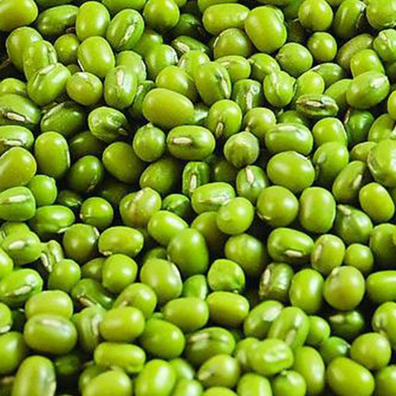 2020年新品内蒙古农家自产新鲜绿豆绿小豆绿豆汤五谷杂粮真空包装