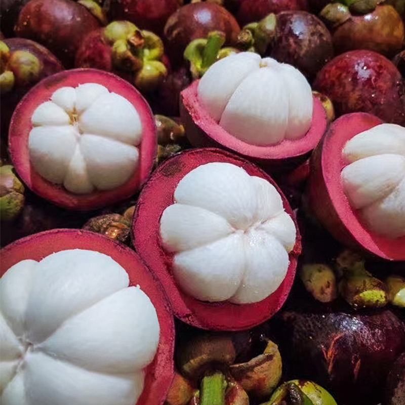 进口喵鲜生泰国印尼新鲜皇后油麻山竹5a大果山竹