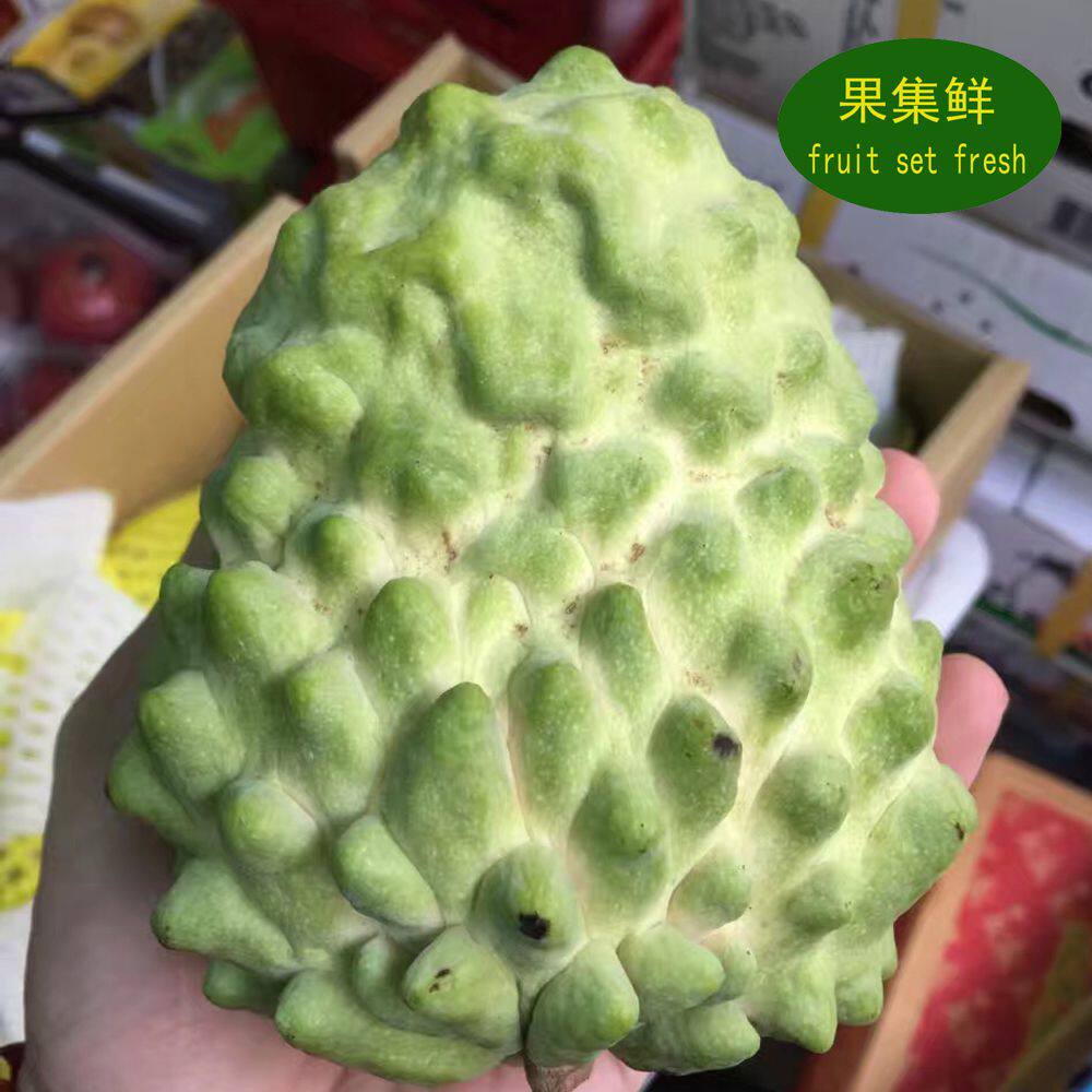 释迦现货泰国孕妇新鲜水果大目佛头荔枝5斤番荔枝