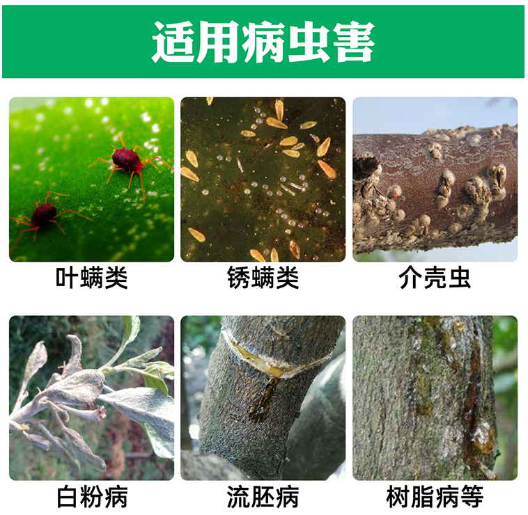 石硫合剂整箱20袋果树苗木清园涂白防除叶螨介壳虫白粉病杀菌杀虫