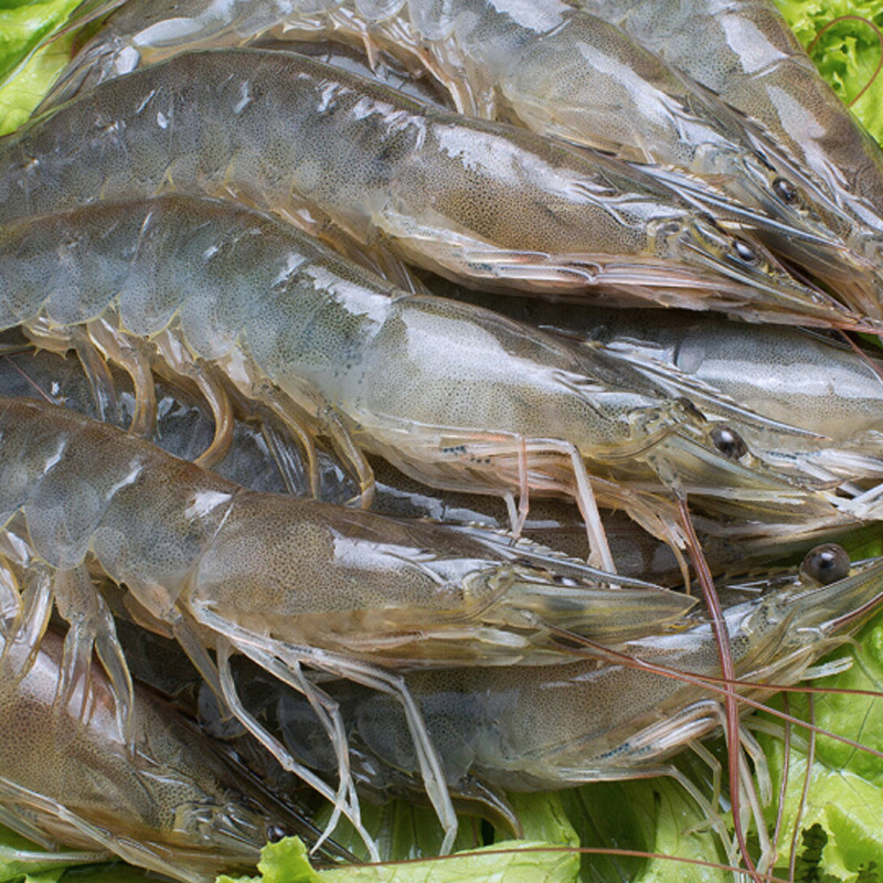 净虾4斤青岛大虾鲜活冷冻海鲜水产超大基围冻虾