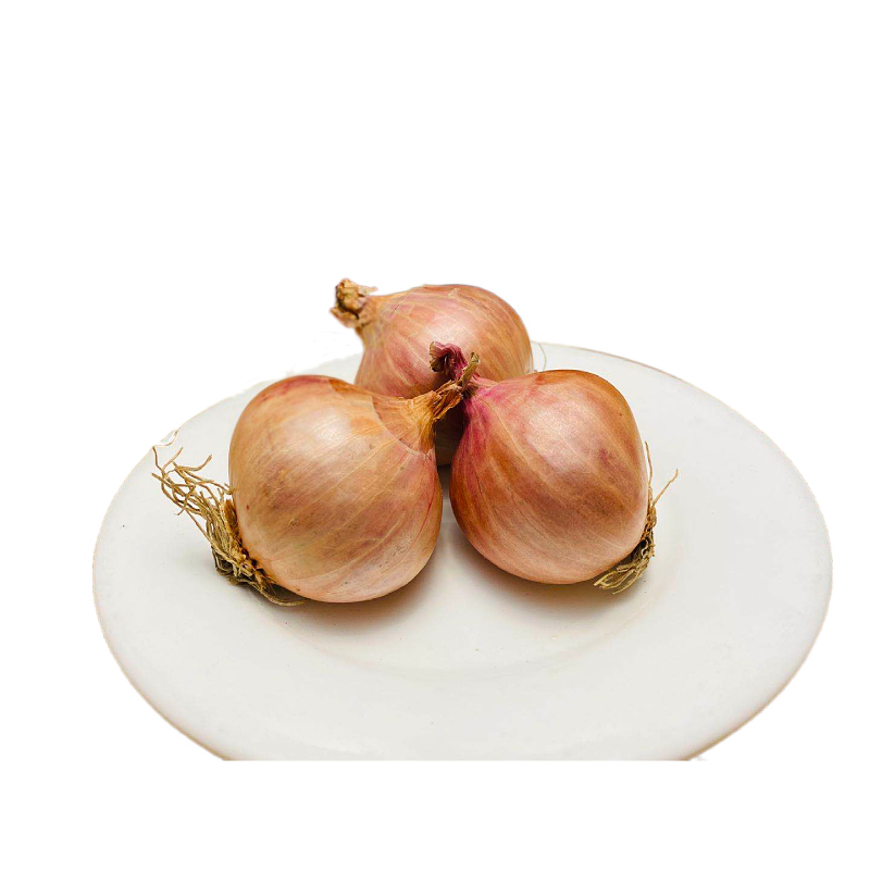 毛葱新鲜5斤小毛红葱洋葱头圆鬼子种植东北葱类