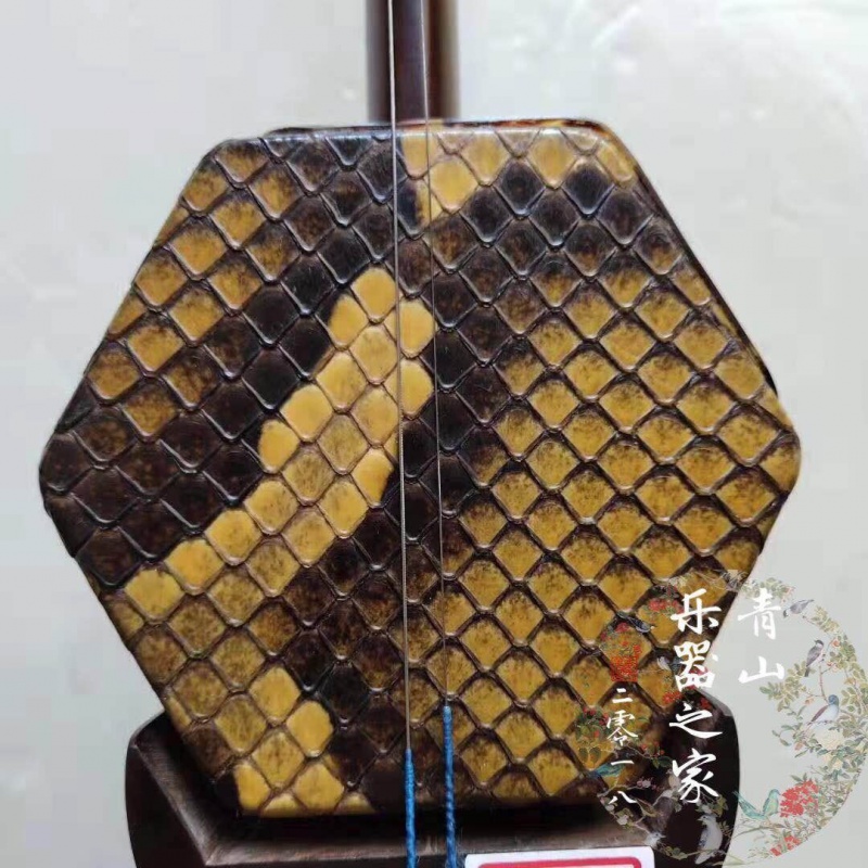 蟒皮蒙皮胶水手工二胡乐器三弦蛇皮热瓦普蟒三弦
