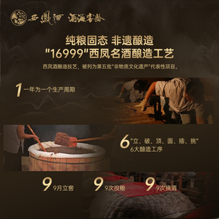 西凤酒官方旗舰店陕西10年52度白酒礼盒纯粮食2瓶凤香型送礼酒t1
