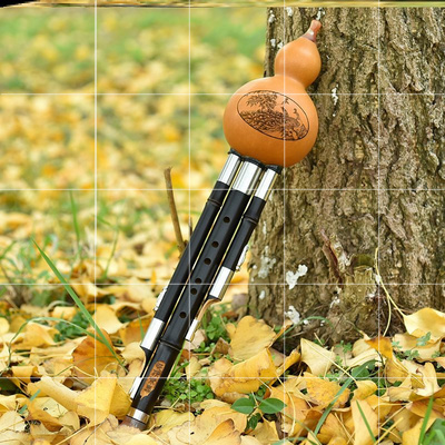 民族乐器学生葫芦丝降b调初学者音质简易初级低音竹轩组合调防