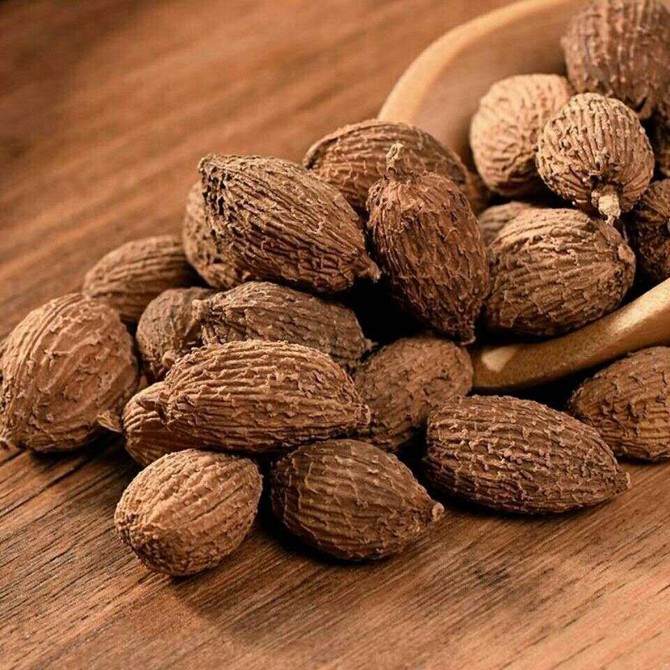 砂仁500g中药材沙仁野生香砂果养胃茶毛特级正品其他药食同源食品