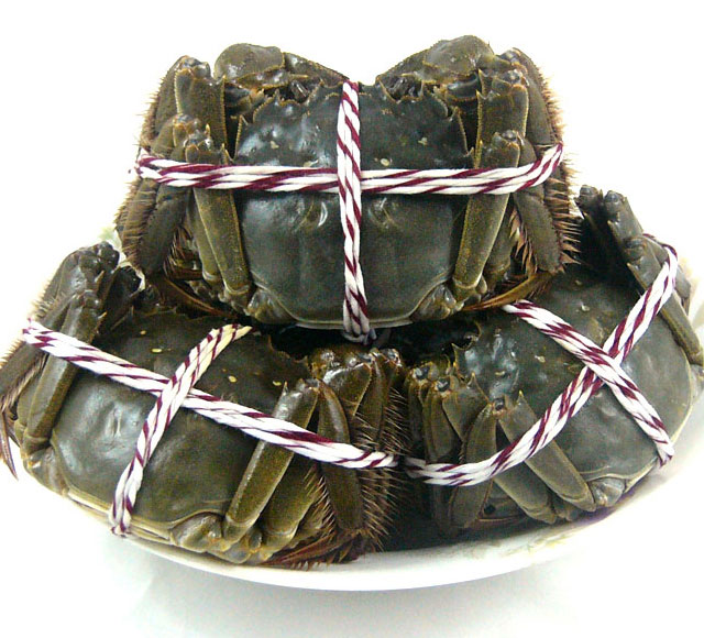 5-2.5两共10只大闸蟹鲜活大闸蟹