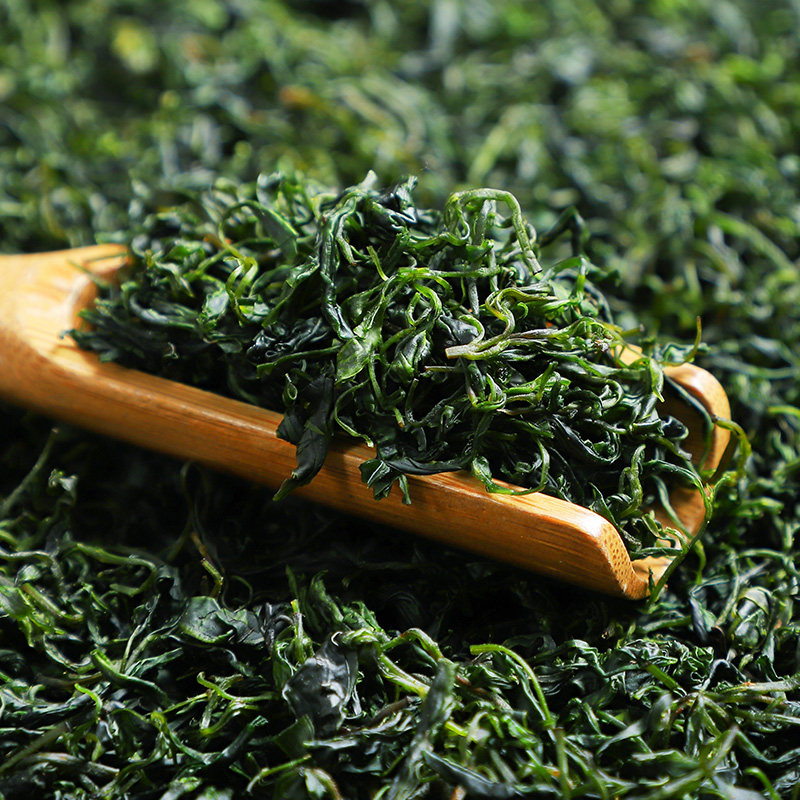 陈一凡一凡小叶苦丁茶叶青山绿水四川峨眉山嫩芽新茶代用