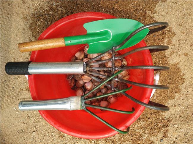 耙子海鲜蛤蜊手工焊接挖香螺赶海沙滩钉耙挖蛤耙子