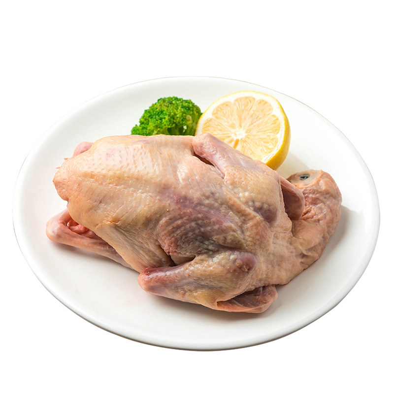 乳鸽鸽子新鲜现杀三只农家山林散养生鲜煲汤其它生肉制品