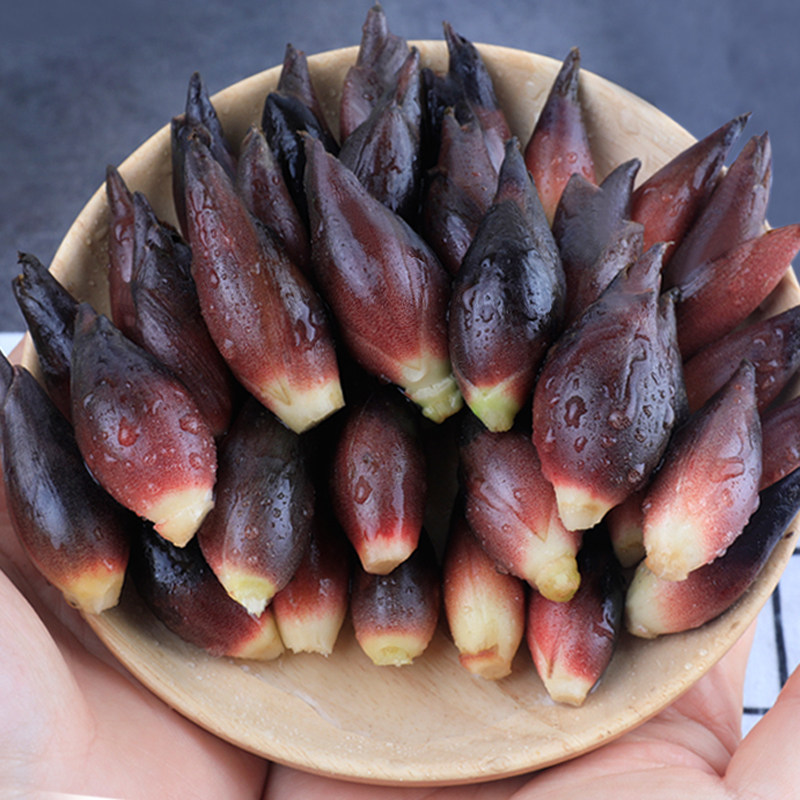 阳荷恩施阳藿姜散装花木莲花洋火荷野现摘生菜其它