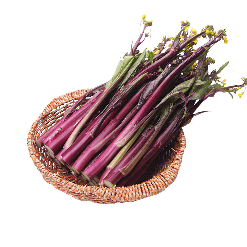 湖北红苔菜新鲜洪山紫菜苔农家特产红菜心青菜蔬菜红油菜5斤包邮
