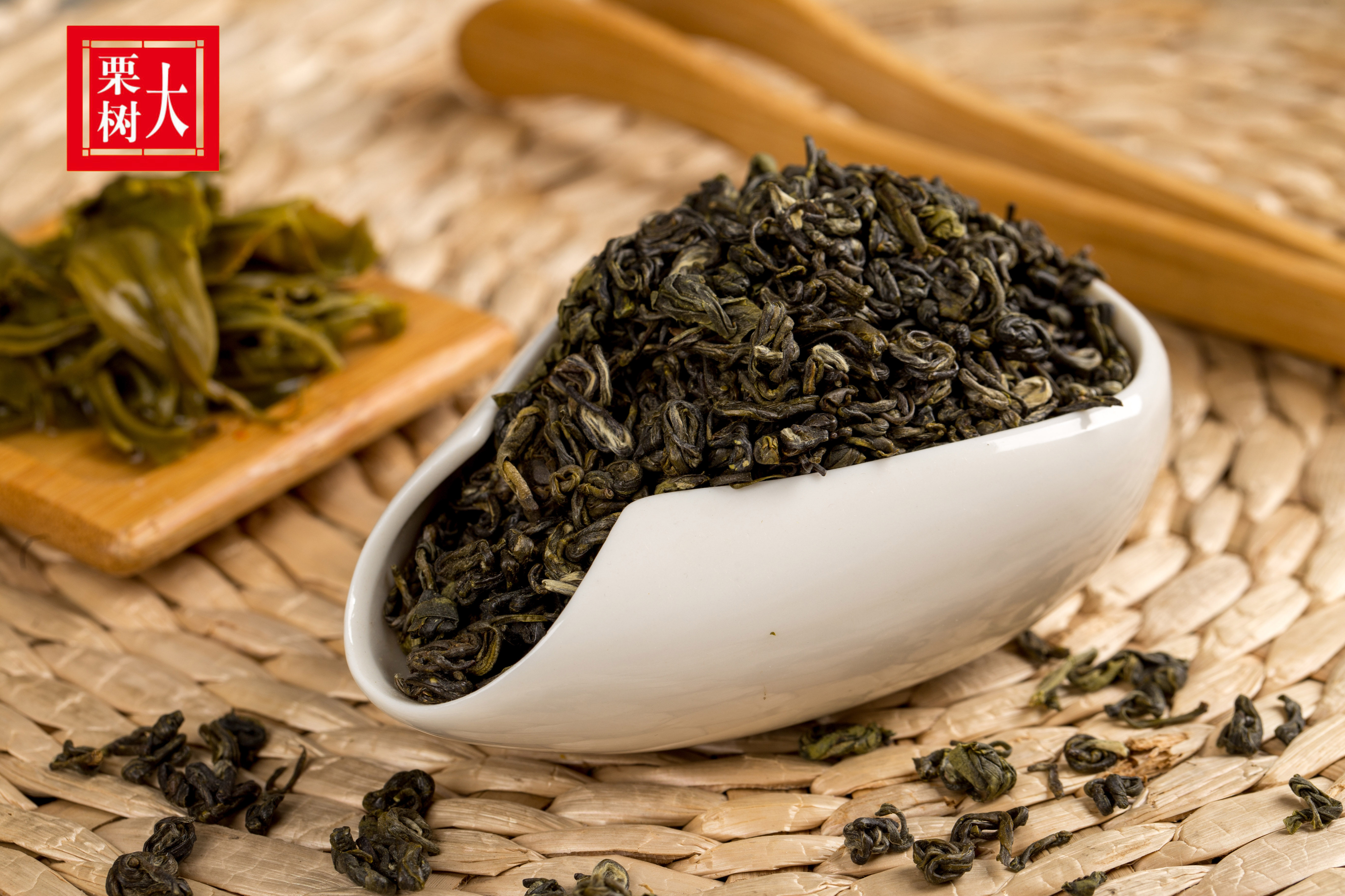 春茶云龙龙大栗树茶大栗茶云南绿茶2022茶叶碧螺春