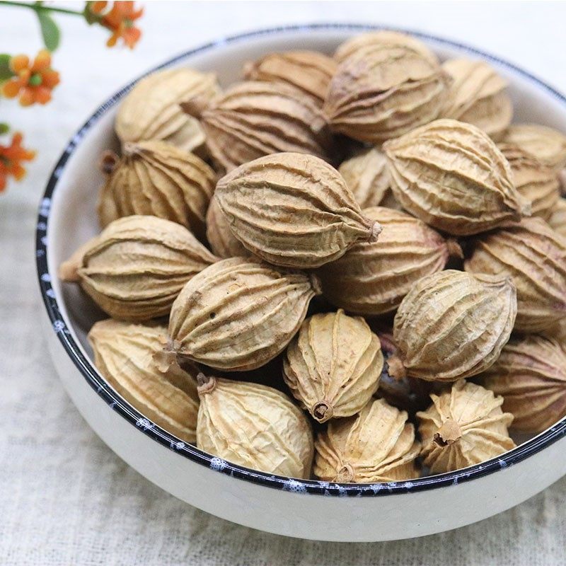 香砂砂仁香料优质500g包邮川四川调料天然卤肉包裹袋