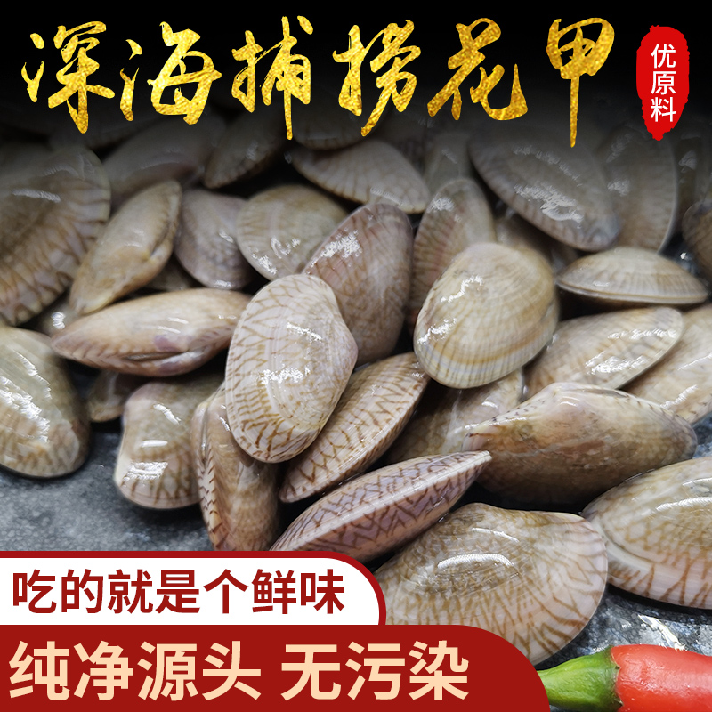 花甲生鲜蛤蜊文蛤杂色蛤花蚬子花蛤大蛤蜊新鲜贝类海鲜水产2000g