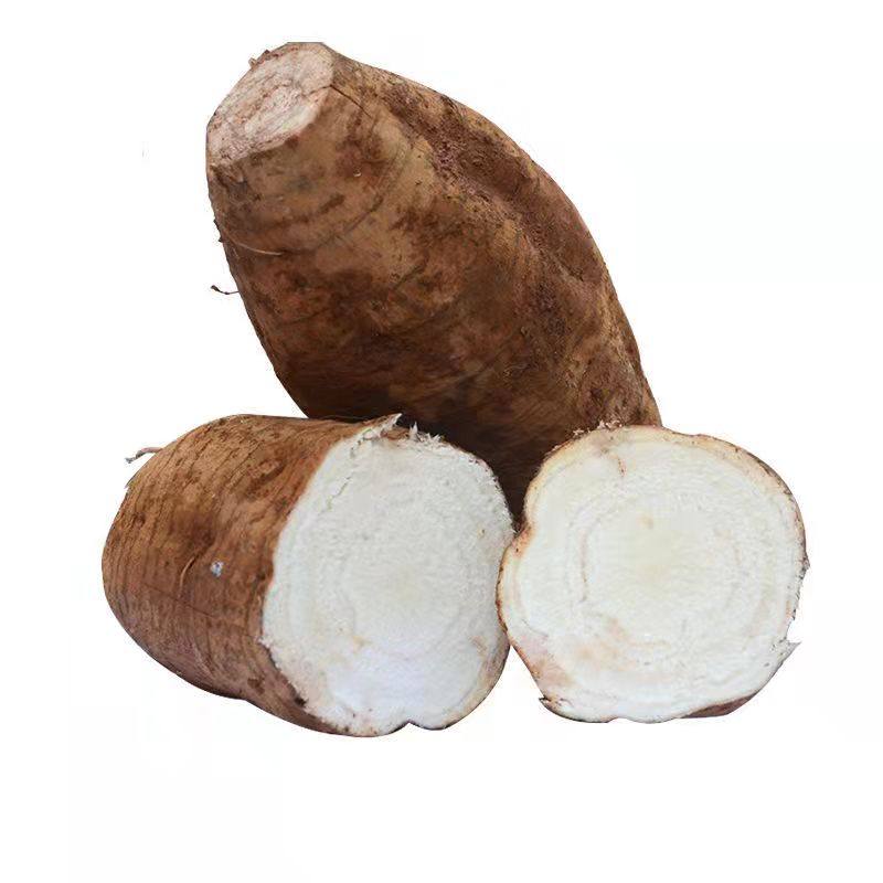 新鲜野葛根现挖现发无渣生吃葛根片粉葛葛薯柴葛其它