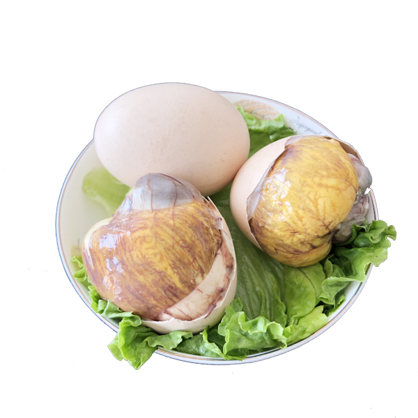 新鲜13天活珠子鸡胚蛋即食喜蛋凤凰熟食钢化活珠子