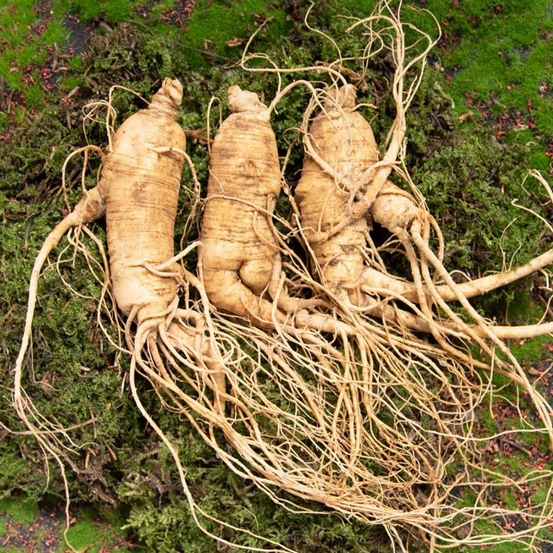 旗茸正品特级新鲜西洋参500g花旗整枝鲜参煲汤西洋参及其制品