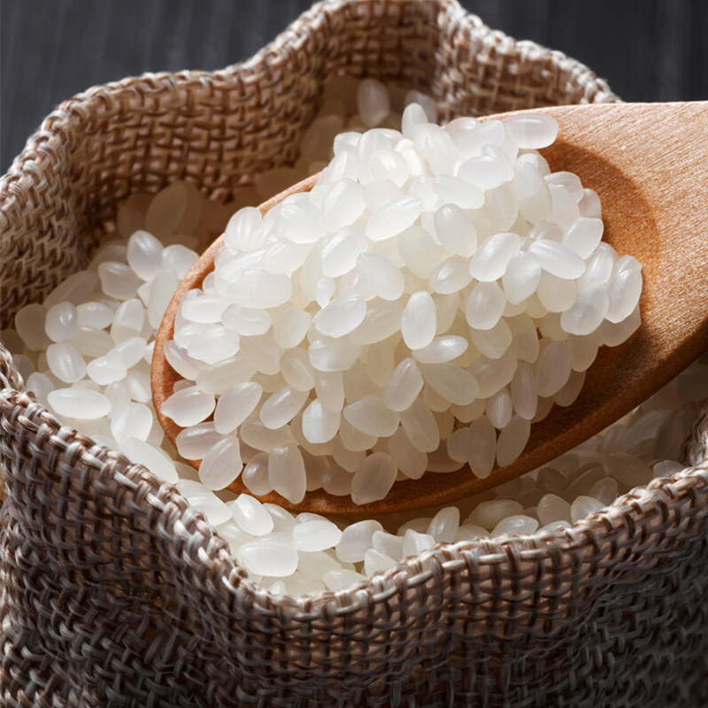 大米2021年新米东北真空小包包装盘锦蟹田珍珠大米