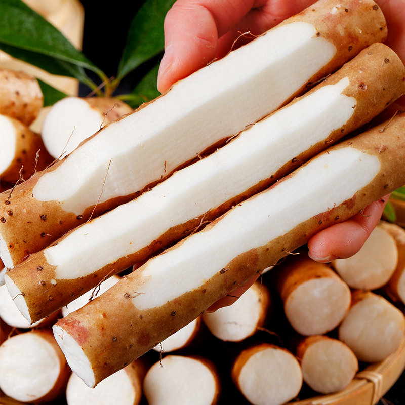 山药小白香糯新鲜生铁铁杆淮山当季孕妇河北新鲜山药