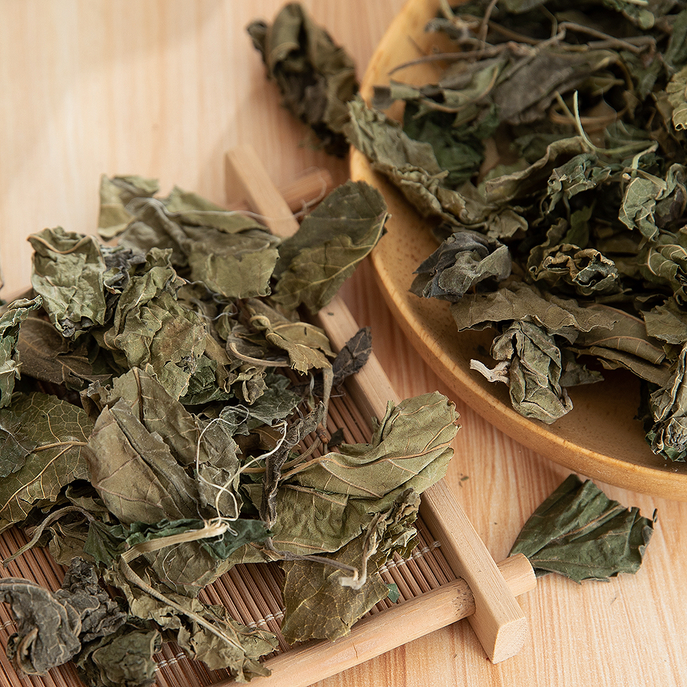 桑叶中药材500g野生正品泡水新鲜干货散装桑叶