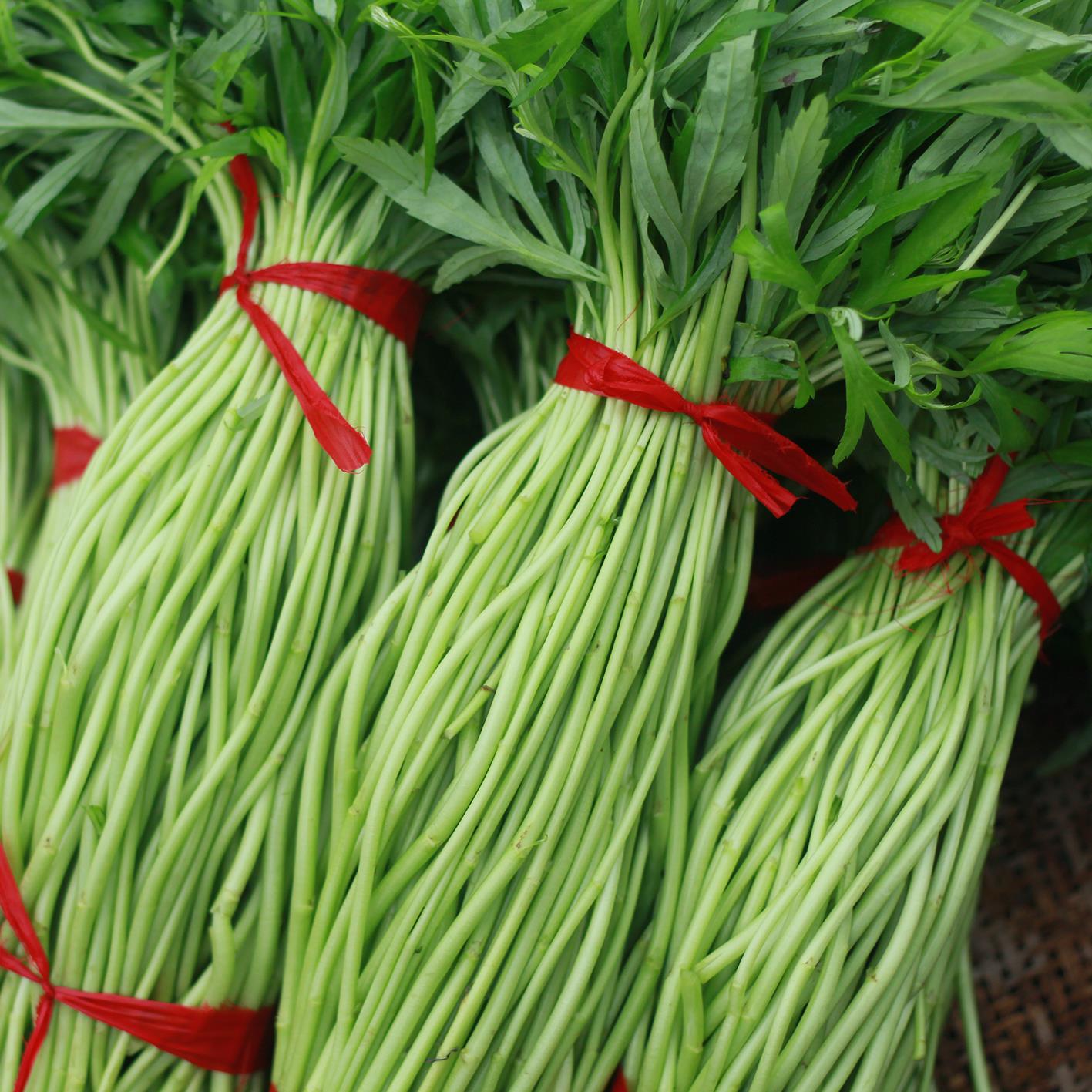 篱蒿4斤去根带叶当季新鲜芦蒿泥蒿藜蒿蓠蒿手机保护套