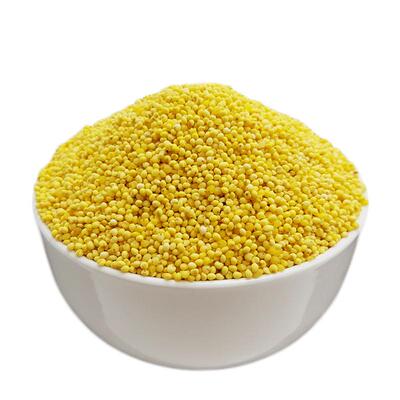 小米2斤农家黍米山西大黄新米粘豆包粽子五谷杂粮糜子粗粮小米