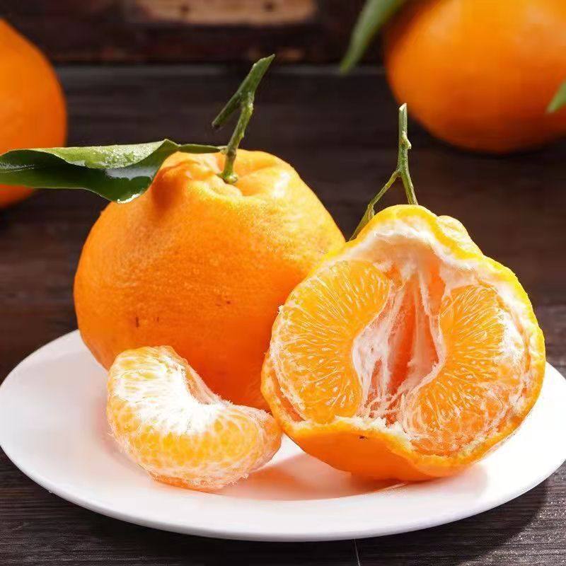 四川大雅春见耙耙柑新鲜现摘5斤水果