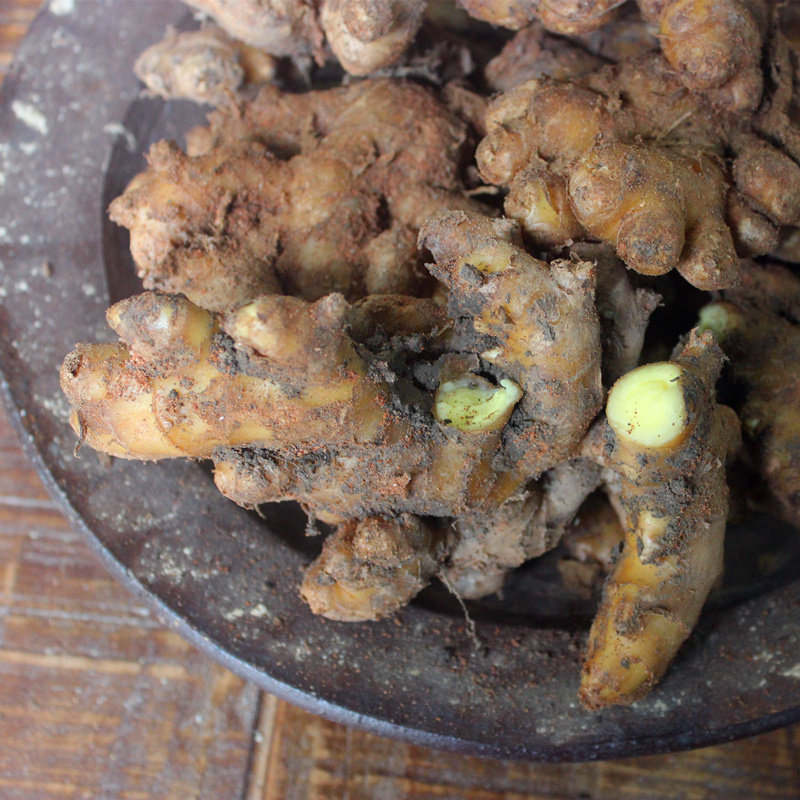 辣姜福建用带月子肉姜姜黄新姜黄农村新鲜现挖生姜