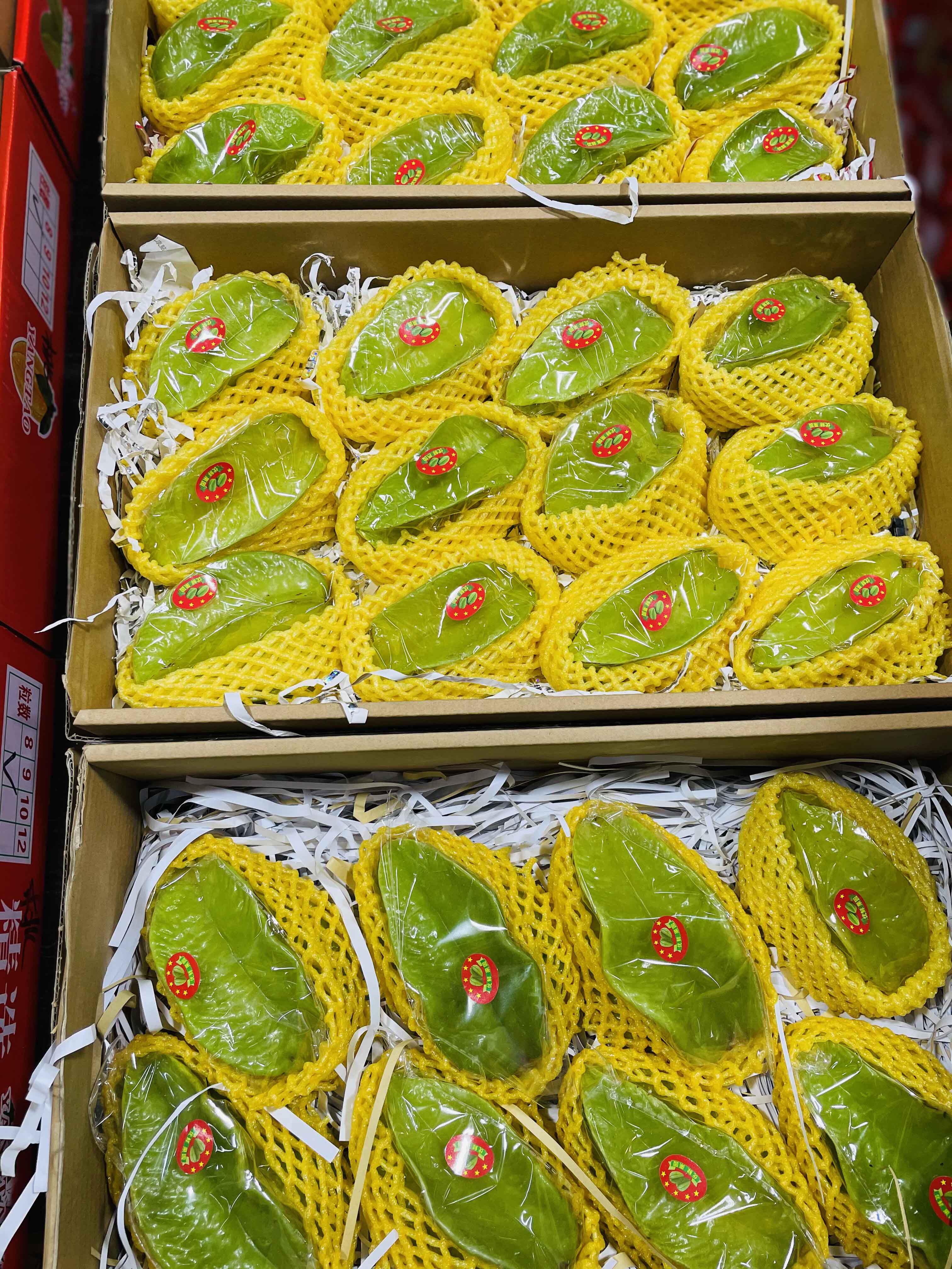 福建漳州杨桃4斤新鲜当季水果酸甜洋桃应季杨桃