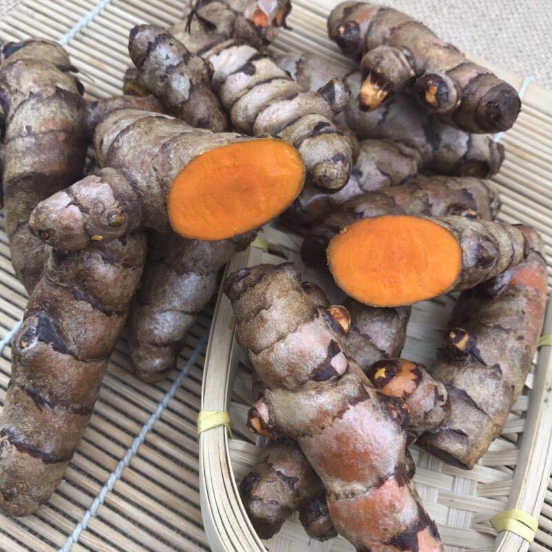 红姜广西湖南特产新鲜小黄姜姜黄郁金月子姜染色产后调