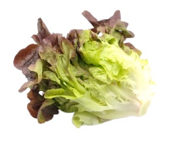 新鲜1斤蔬菜橡叶红橡生菜沙拉西餐厅配菜轻食其它