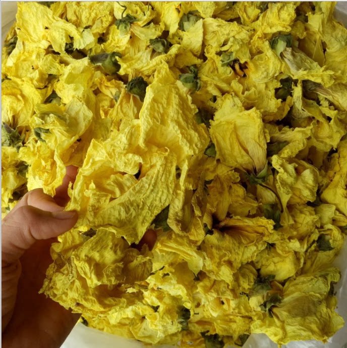 葵花中药材黄蜀人工挑选无硫500g包邮大蜀季花茶其他药食同源食品